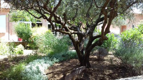 Les Salles-sur-Verdon Cama Y Desayuno | Les Jardins de l'Ermitage