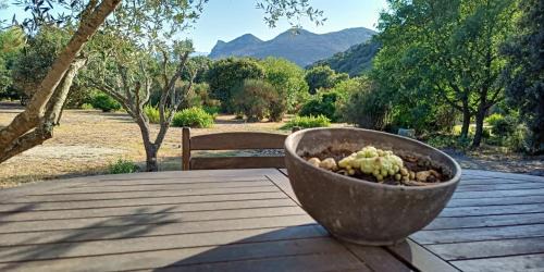 Barbaggio Casa | Les jardins de Foata