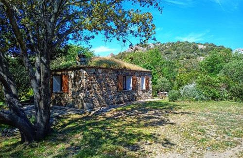 Barbaggio Casa | Les jardins de Foata