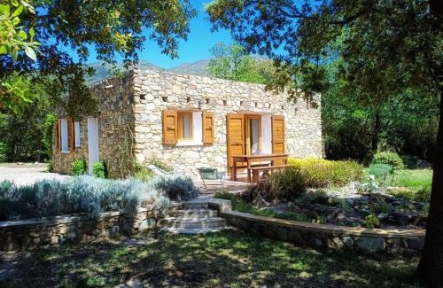 Barbaggio Casa | Les jardins de Foata