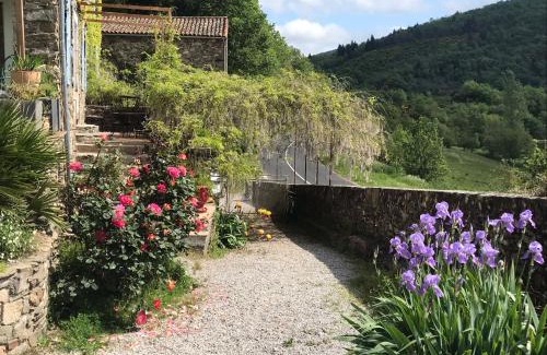 Brusque Cama Y Desayuno | Les Jardins de Lumière