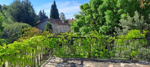 Pelissanne Villa | Les loups blancs en Provence