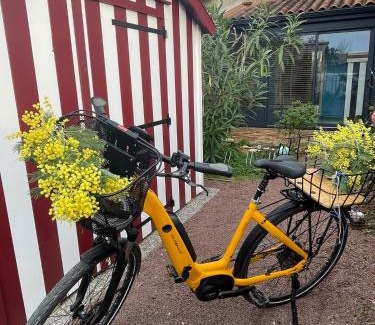 Saint-Trojan-les-Bains Casa | LES MIMOSAS