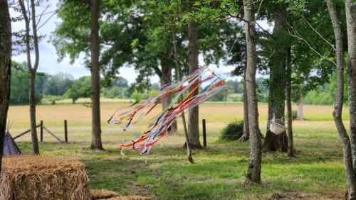 Saint-Aubin-de-Locquenay Casa | Les naturelles