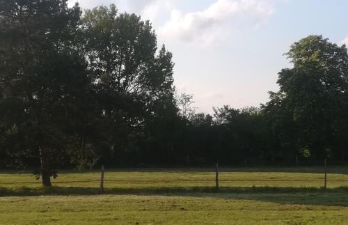 Saint-Romain-sur-Cher Casa | Les prés du petit Morlu - proche Beauval