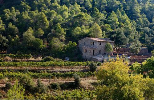 Falset Casa | Les Quimeres