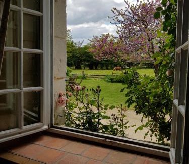 Broc Casa | Les Roberderies