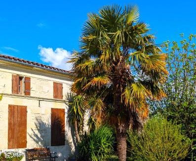 Saint-Fort-sur-Gironde Casa | Les Roses Tremieres