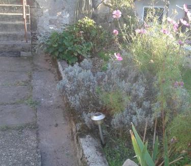 Eschbourg Casa | Les Rosiers