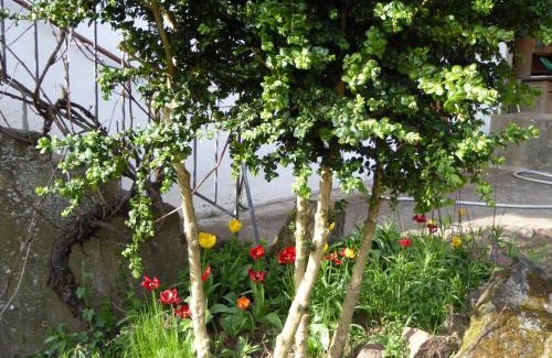 Eschbourg Casa | Les Rosiers