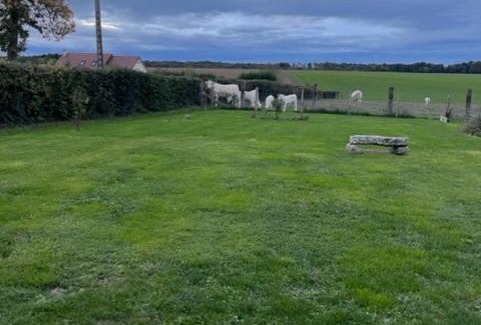 Omecourt Casa | Les tourterelles