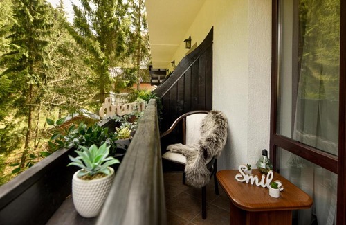 Predeal Apartamento | WILD & FREE - Ideal Room with a view