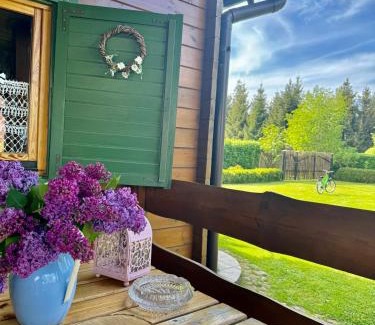 Ostrow Wielki Casa | Letnia Chata u Romana