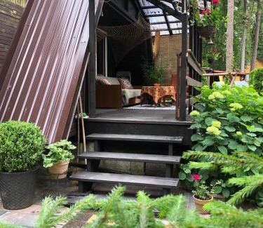 Blanki Cabina | Letnisko SYMSAR 6, Drewniany domek letniskowy z ogrodem