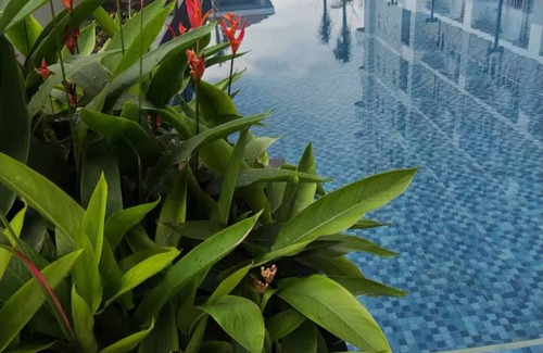 Pasay Condominio | Levi & Moon's Home