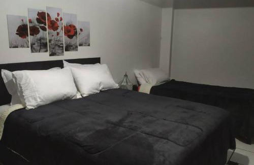 Centro Apartamento | Liberdade! Apto no centro!