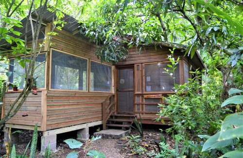 San Ignacio Casa | Licensed 2 bedroom cabin Close to San Ignacio, local dining, and adventure tours