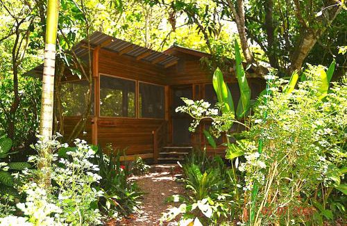 San Ignacio Casa | Licensed 2 bedroom cabin Close to San Ignacio, local dining, and adventure tours