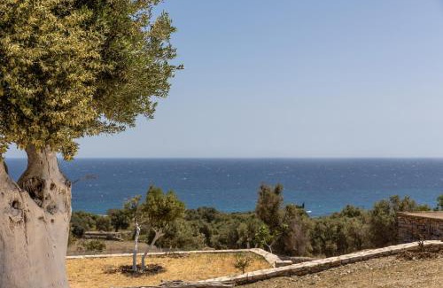 Naxos Apartamento | Ligaridia Apartments