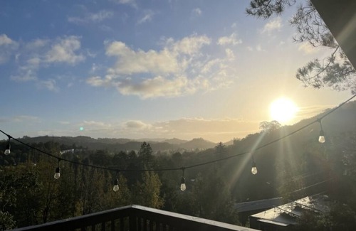 Fairfax Casa | Light filled, tree house, surrounded by nature. 7 minute walk from downtown.