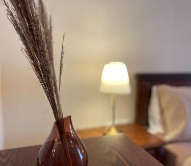 Gjirokaster Apartamento | Likas House