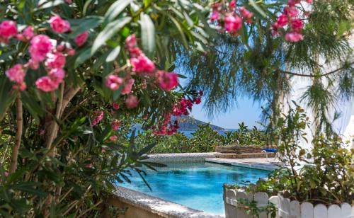 Kalkan Cama Y Desayuno | Likya Gardens Hotel