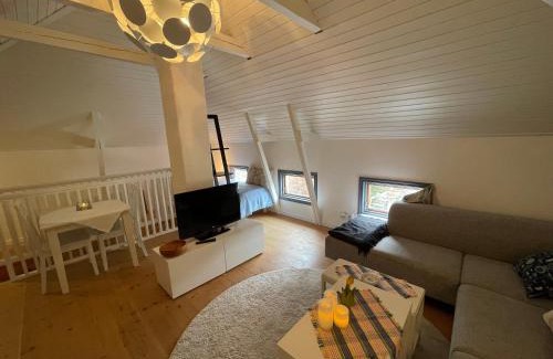 Ljungskile Chalet De Esquí | Lilla Saturnus