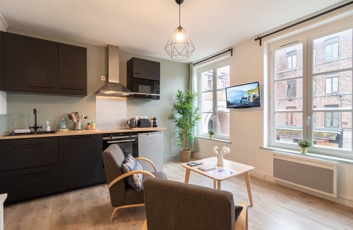 Saint-Maurice Pellevoisin Apartamento | Lille Centre - Nice and functional ap.