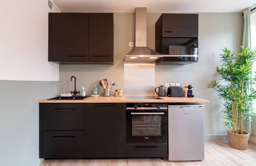 Saint-Maurice Pellevoisin Apartamento | Lille Centre - Nice and functional ap.