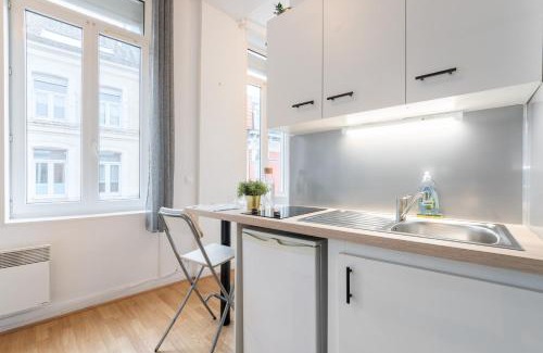 Saint-Maurice Pellevoisin Apartamento | Lille Saint Maurice - Nice and functional studio