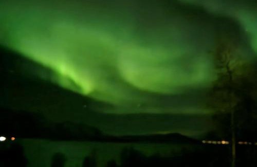 Lyngen Casa | Lillehytta årøybuktneset