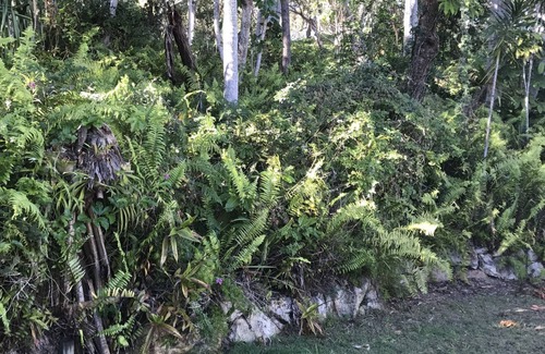 Point Lookout Casa | LilyPad - Pt Lookout - Water views - Pets OK