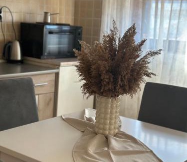 Leskovac Apartamento | Lilyy
