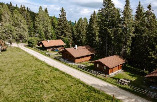 Arriach Chalet De Esquí | Lima Alpine Lodges - Almhaus Gertraud & Theresia