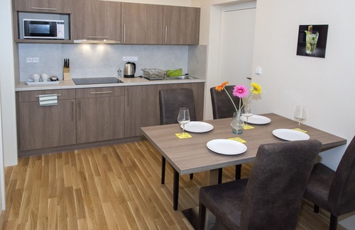 Zizkov Apartamento | Limes Apartments
