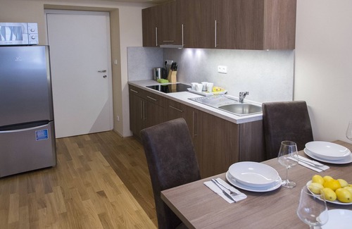 Zizkov Apartamento | Limes Apartments