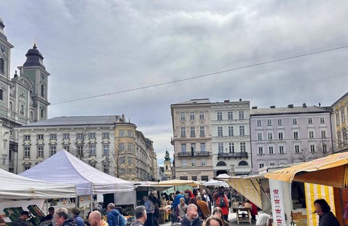 Altstadtviertel Apartamento | LINZ CITY CENTER - Historisches Apartment & Refugium
