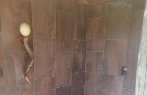 Cullinan Cabina | Lion and Cheetah Sanctuary