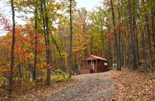 Luray Cabina | Little Bitty Cabin