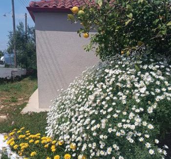 Valanidorrachi Casa | Little Dream House