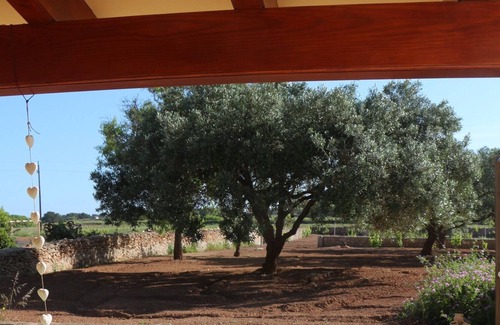 Pilar de la Mola Apartamento | Little house in the peace of La Mola