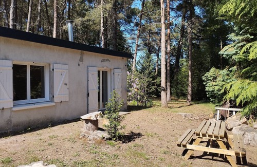 Oize Chalet De Esquí | Little house in the woods