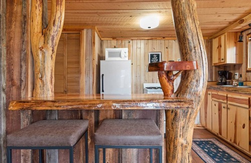 Custer Apartamento | Little Joy: Needle Spire Views + Sauna + Wildlife