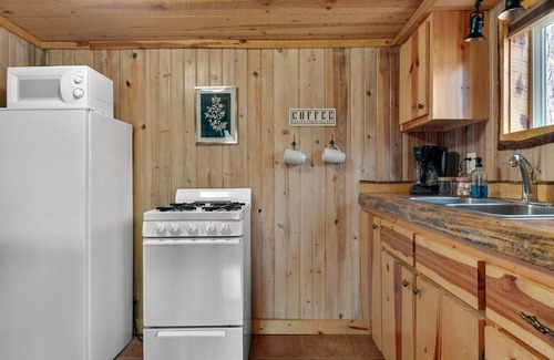 Custer Apartamento | Little Joy: Needle Spire Views + Sauna + Wildlife