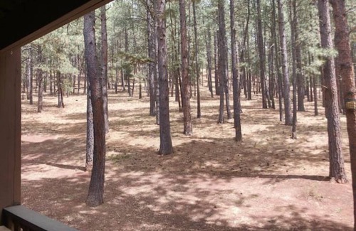Angel Fire Condominio | Little Mammoth Condo - Bike or 5 min walk to ski lifts!