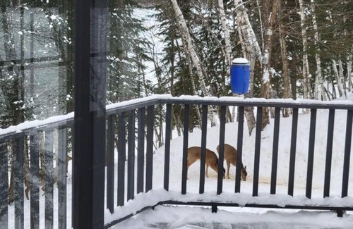 Chute-Saint-Philippe Chalet De Esquí | Little piece of paradise
