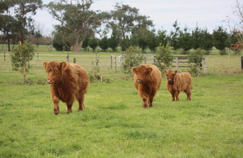 Drouin West Casa | Little Sherwood Drouin Petting Zoo & Cottages