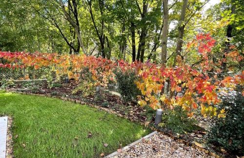 Szentendrei Apartamento | Liv'In Garden I Boutique Apartment I Szentendre