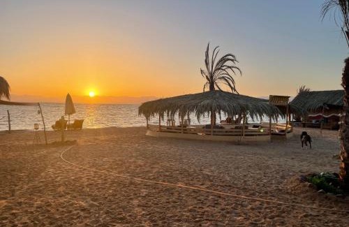 Nuweiba Otro | Live the bedouinlife