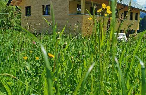 Grossdorf Apartamento | Living Apartment
